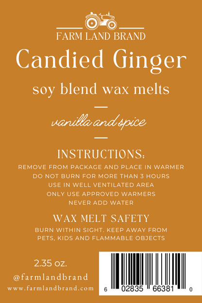 Candied Ginger Soy Wax Melt    scented with ginger  and spice