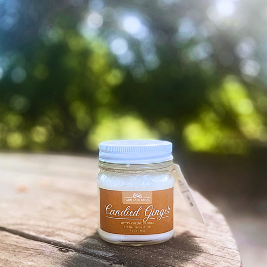 Candied Ginger Soy Wax Mason Jar Candle   Scented with Ginger and Spice